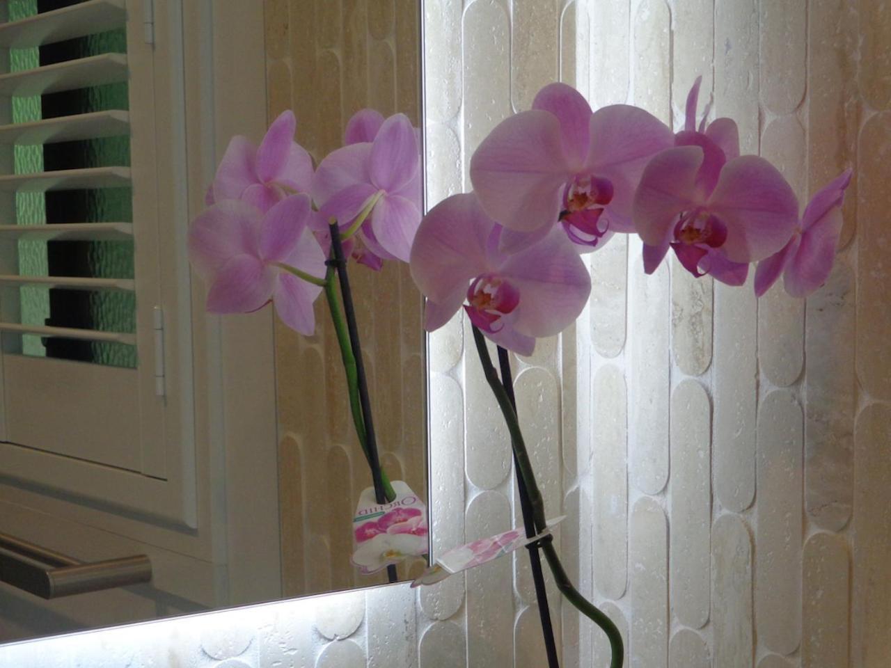Noosa Buoys Hotel Tinbeerwah Екстериор снимка
